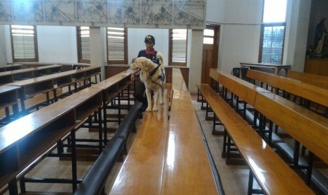 Jelang perayaan Natal anjing dari Canine Kota Malang (K-9) melakukan simulasi penyisiran di Gereja Santo Albertus Blimbing Kota Malang, Jumat (23/12).