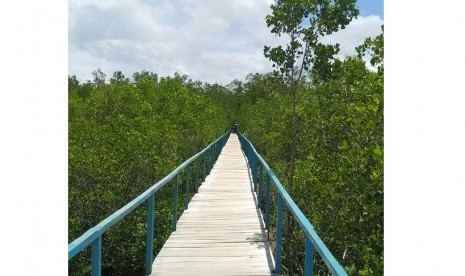 Jembatan bakau di Kupang