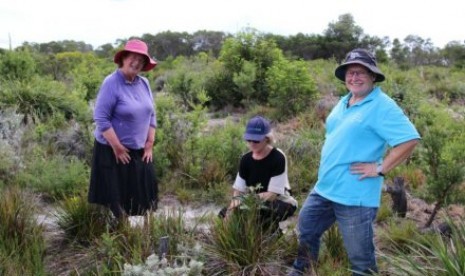 Jenny Wilson, Libby Bennett dan Lynette Jones disitus makam tanpa nama dari orang pertama di Australia yang meninggal karena penyakit Pes. 