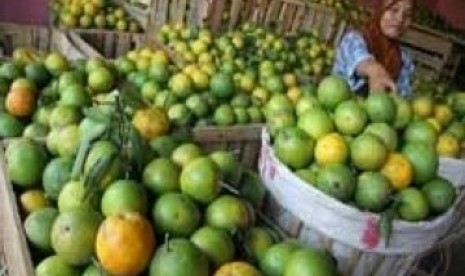 Jeruk, salah satu buah pengusir lemak