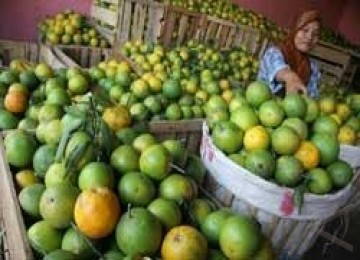 Jeruk, salah satu buah pengusir lemak