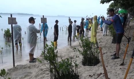 JFX dan AGP Gelar CSR Tanam Mangrove dan Lepad Liar Satwa