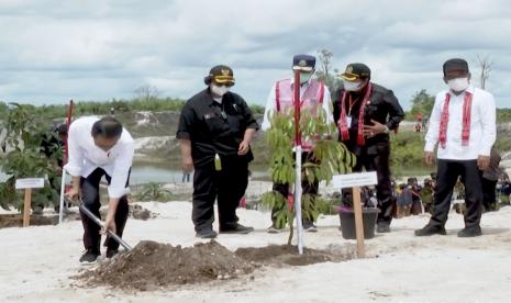 Jokowi menanam pohon di bekas tambang emas di Kabupaten Sintang, Kalimantan Barat.