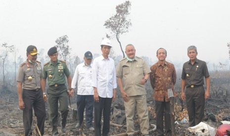 Jokowi meninjau lokasi kebakaran di Sumsel.