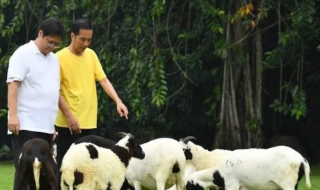 Jokowi saat bertemu Airlangga Hartarto.