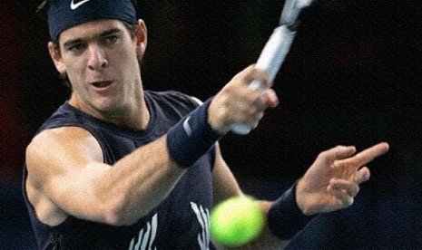 Juan Martin Del Potro