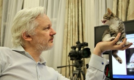 Julian Assange bersama kucingnya.