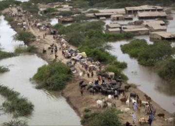 Jutaan warga Pakistan korban banjir kehilangan rumahnya dan membutuhkan bantuan mendesak