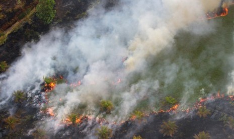 Kabakaran hutan dan lahan.