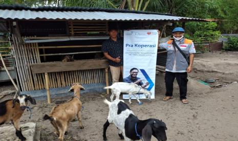  Kabar membahagiakan datang dari salah satu Penerima Manfaat (PM) program ekonomi Rumah Zakat yaitu Dg Lallo. Hal itu dikarenakan hewan kambing yang dikelolanya melahirkan 2 ekor anak kambing.