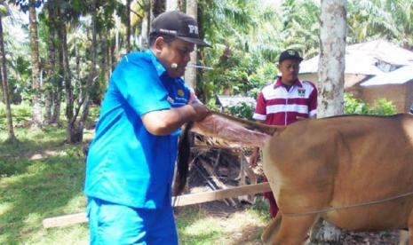 Kabupaten Agam saat ini didukung 25 inseminator buatan dari ASN dan swasta.