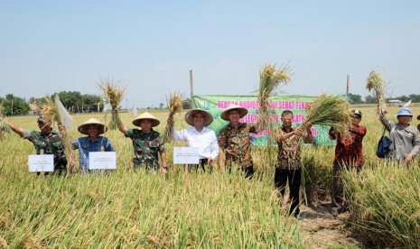 Kabupaten Karawang terus berproduksi meskipun di tengah kemarau panjang 2019 ini. 