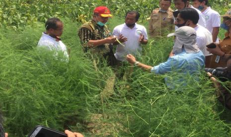 Kabupaten Temanggung memiliki jargon Swadaya Bhumiphala yang berarti kemandirian dalam bidang agrikultur. Hingga kini wilayah di lereng Gunung Sindoro, Sumbing dan Prau ini masih mengandalkan pertanian dan perkebunan sebagai penopang perekonomian rakyat.