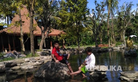 Kampung Flory, Homestay Desa Wisata Tanaman Hias dengan Kolam Terapi Ikan. 