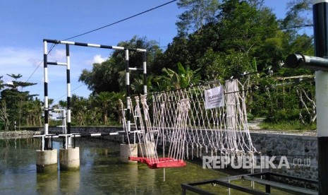 Kampung Flory, Homestay Desa Wisata Tanaman Hias dengan Kolam Terapi Ikan. 