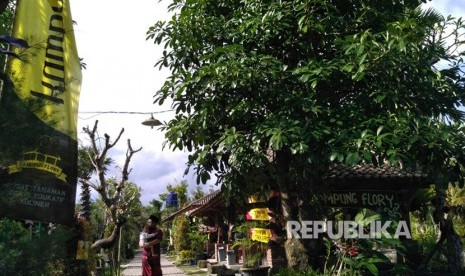 Kampung Flory, Homestay Desa Wisata Tanaman Hias dengan Kolam Terapi Ikan. 