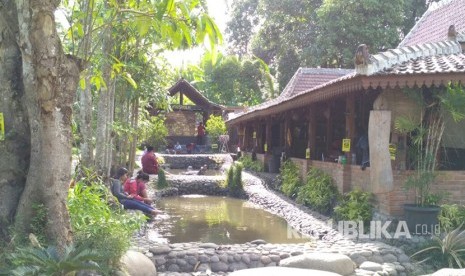 Kampung Flory, Homestay Desa Wisata Tanaman Hias dengan Kolam Terapi Ikan. 