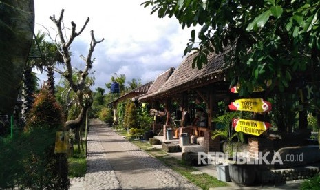 Kampung Flory, Homestay Desa Wisata Tanaman Hias dengan Kolam Terapi Ikan. 