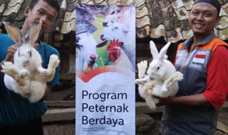 Kampung Kelinci Desa Berdaya Rumah Zakat.