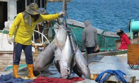 Kapal penangkap tuna di pelabuhan Koror di Palau di kawasan Pasifik. 