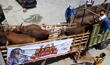 Kapal Qurban ACT mengangkut ratusan sapi dari Sumbawa ke Jakarta.