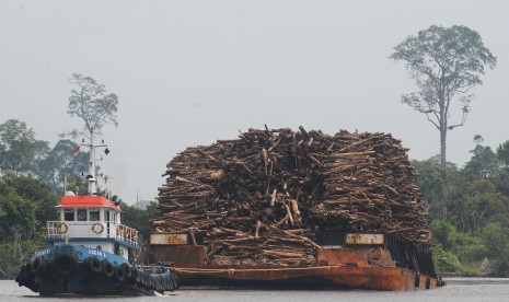  Kapal tongkang pengangkut kayu Hutan Taman Industri (HTI) melintasi sungai Siak di Perawang, Kabupaten Siak, Riau.