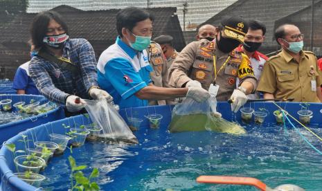 Kapolda Jawa Tengah, Irjen Pol Ahmad Luthfi bersama Ketua DPD SPN Jawa Tengah, Sutarjo menebar benih ikan lele pada kolam bididaya bantuan Polda Jawa Tengah, di lingkungan Langensari Wetan, Kelurahan Langensari, Kecamatan Ungaran Barat, Kabupaten Semarang, Senin (6/7). Dorong kemandirian ekonomi masyarakat terdampak Covid-19, Polda Jawa Tengah gulirkan program budidaya ikan konsumsi bagi para buruh terkena PHK di tiga daerah.