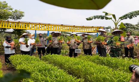 Kapolda Metro Jaya, Irjen Pol Nana Sudjana (tengah) meninjau panen raya di Kampung Sehat Ketahanan Pangan Jatiuwung, Kamis (19/11).