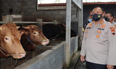 Kapolres Demak, AKBP Budi Adhy Buono, saat memantau kesehatan ternak sapi di kandang komunal, PT Sapi Utomo, Desa Jogoloyo, Kecamatan Wonosalam, Kabupaten Demak, Sabtu (14/5). Kegiata ini dilakukan jajaran Polres Demak untuk membantu Pemerintah kabupaten setempat dalam mencegah penyebaran Penyakit Mulut dan Kuku (PMK) pada hewan ternak.