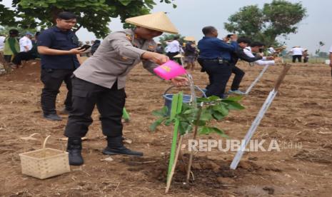 Kapolres Indramayu, AKBP Ari Setyawan Wibowo, menghadiri Penanaman Serentak Agroforestri Pangan serta penyerahan bibit produktif/MPTS di Hutan Kemasyarakatan (HKm), di Desa Cikawung, Kecamatan Terisi, Kabupaten Indramayu, Selasa (4/2/2025). 