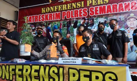   Kapolres Semarang, AKBP Ari Wibowo menunjukkan barang bukti pohon ganja dalam pot yang ditanam tersangka penyalahgunaan narkoba sabu pada ekspos kasus tindak pidana penyalahgunaan narkoba yang diungkap jajaran Satresnarkoba Polres semarang, di Mapolres Semarang, Selasa (7/9).