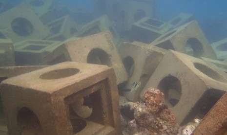 Karang di Pulau Tidung, Kecamatan Kepulauan Seribu Selatan, rusak total karena pemasanga blok break water yang asal-asalan.