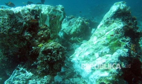 Karang ratusan tahun yang patah akibat kandasnya Kapal MV Caledonian Sky berbendera Bahama di perairan Raja Ampat, Papua Barat, Sabtu (4/3).