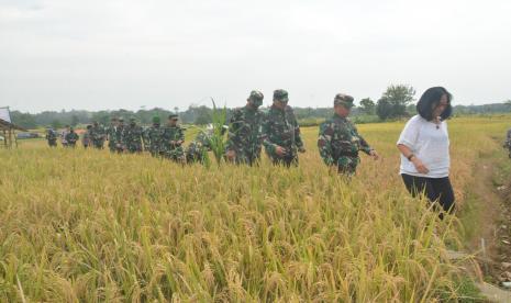 Kasdam Siliwangi dan Kapolda Jabar menghadiri Panen Raya Kampung Tangguh Nusantara .