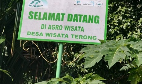 Kawasan agrobisnis durian di Belitung