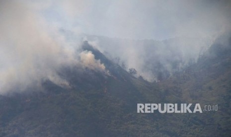 Kawasan hutan Gunung Talang, Solok, Sumatra Barat terbakar pada Kamis (1/2). 