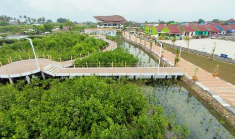 Kawasan Hutan Mangrove Desa Ketapang, Kecamatan Mauk, Kabupaten Tangerang. Penghijauan mangrove bermanfaat untuk menjaga lingkungan  