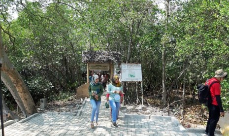 Kawasan hutan mangrove, yang ada di Kampung Tengkolak, Desa Sukakerta, Kecamatan Cilamaya Kulon, Karawang. 