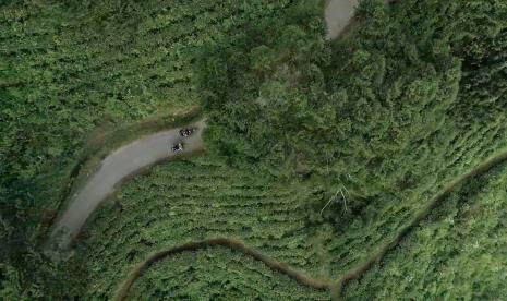 Kawasan perkebunan di Subang, Jawa Barat