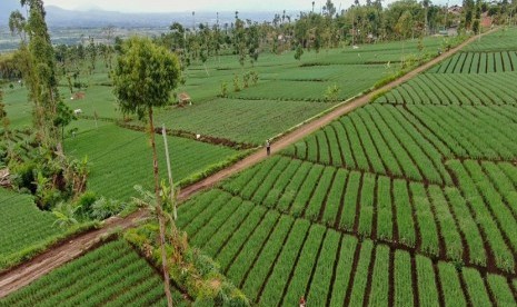 Kawasan pertanian di wilayah Kabupaten Garut. Kementan Luncurkan Gedor Hortikultura di Wilayah Garut