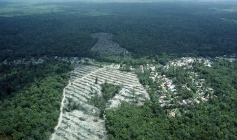 Kawasan Restorasi Hutan Harapan