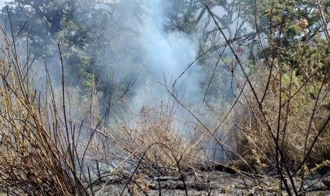 Kawasan Semeru masih mengepulkan api dan asap hingga Kamis (3/10).