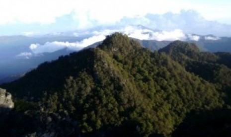 Kawasan Pegunungan Mekongga, Sulawesi Tenggara.