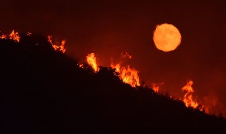 Kebakaran di Alamo, California, tepatnya di Jalan Raya 166 di utara Santa Barbara County meluas menjadi lebih dari 23 ribu hektare (ha).