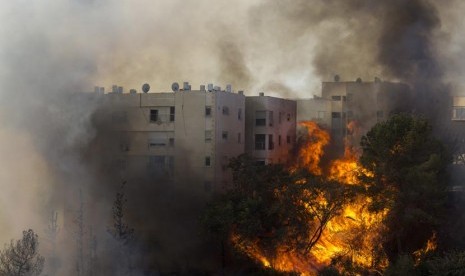 Kebakaran di Haifa Israel