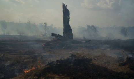 Kebakaran di kawasan hutan hujan Amazon di Altamira, Brasil, Senin (26/8). Lokasi kebakaran sangat dekat dengan lahan milik pribumi Kayapo.