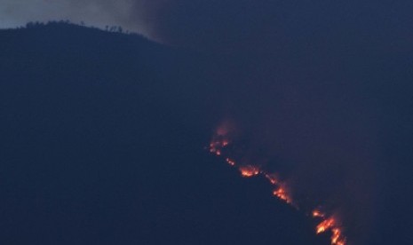 Kebakaran Gunung Lawu