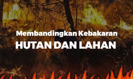 kebakaran hutan