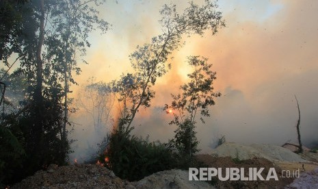 Kebakaran hutan dan lahan akibat musim panas semakin meluas terjadi dan sudah mendekati pemukiman warga di kecamatan Dumai Barat kota Dumai, Dumai, Riau, Selasa (12/2/2019).