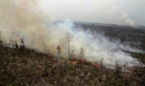 Wildfires in Bengkalis, Riau.